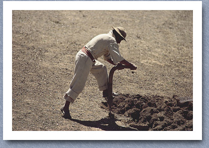 Farmer using traditional plough, Curva