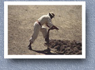 Farmer using traditional plough, Curva