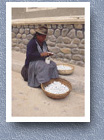 Woman rolling tobacco to make cigarettes, Tarabuco