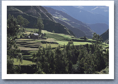 Small farm, Charazani