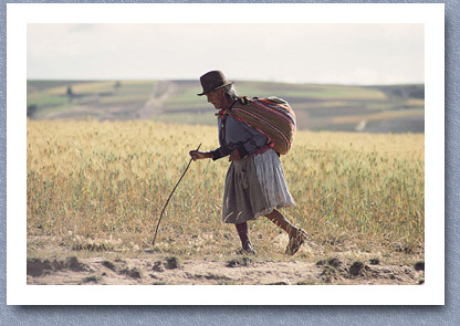 Old woman going to market, Tarabuco