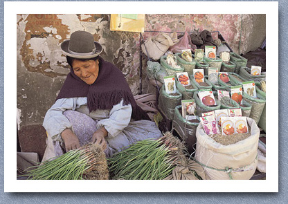 Seed vendor, La Paz