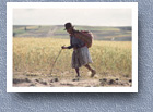 Old woman going to market, Tarabuco