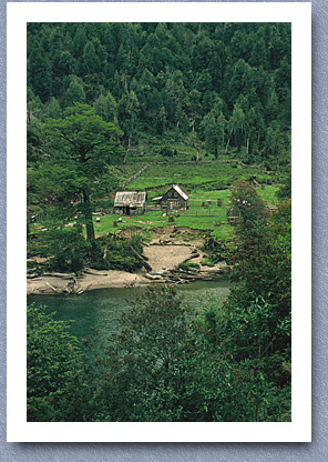 Shingle house near Puerto Aisen