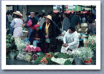 Flower and vegetable market, Temuco