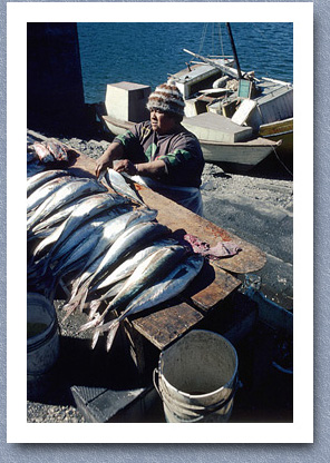 Woman selling fish, Angelmo