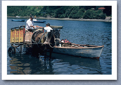 Off-loading produce from boat, Puerto Montt