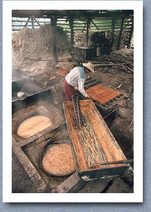 HMaking panela sugar, San Agustin