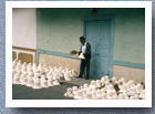 Panama hat market, Sandona