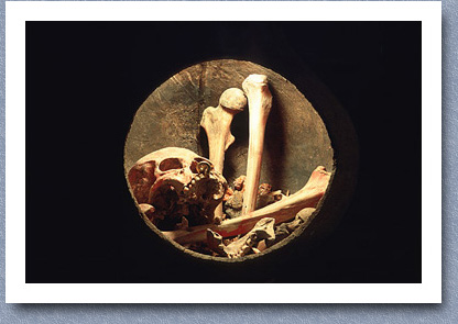 Burial pot with skeleton and gold nose ring