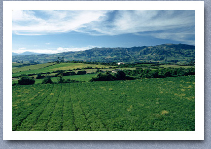 Farmland between Ipiales and Tuquerres