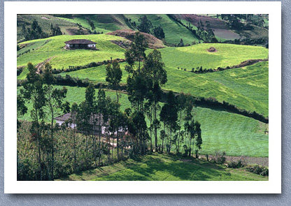 Farmland, Tuquerres