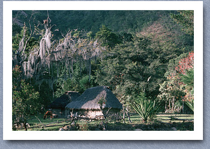 Arhuaco house, Nabusimake