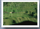 Farm in the Valle de Cocora