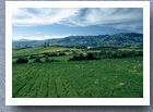 Farmland between Ipiales and Tuquerres