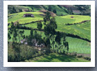 Farmland, Tuquerres