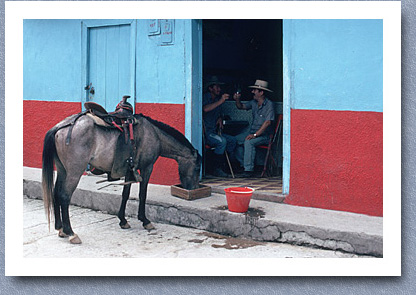 Stop at the local bar, Argelia