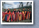 Corpus Christi dancers and musician, Salasaca