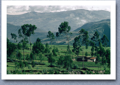 Farm and fields, Paso Las Lajas, Cayambe