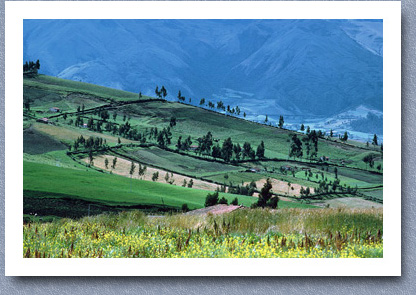 Countryside near Cayambe