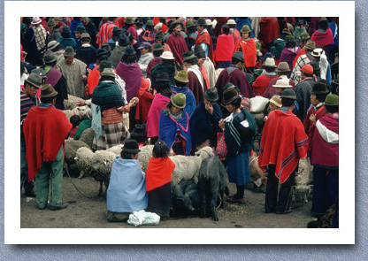 Sheep and pig market, Zalaron