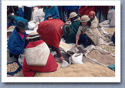 Grain market, Guamote